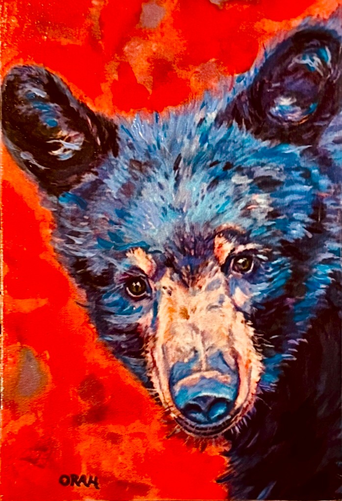 Bear 1